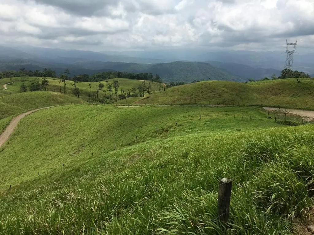 FINCA EN VENTA EN FLORENCIA DE SAN RAMON.