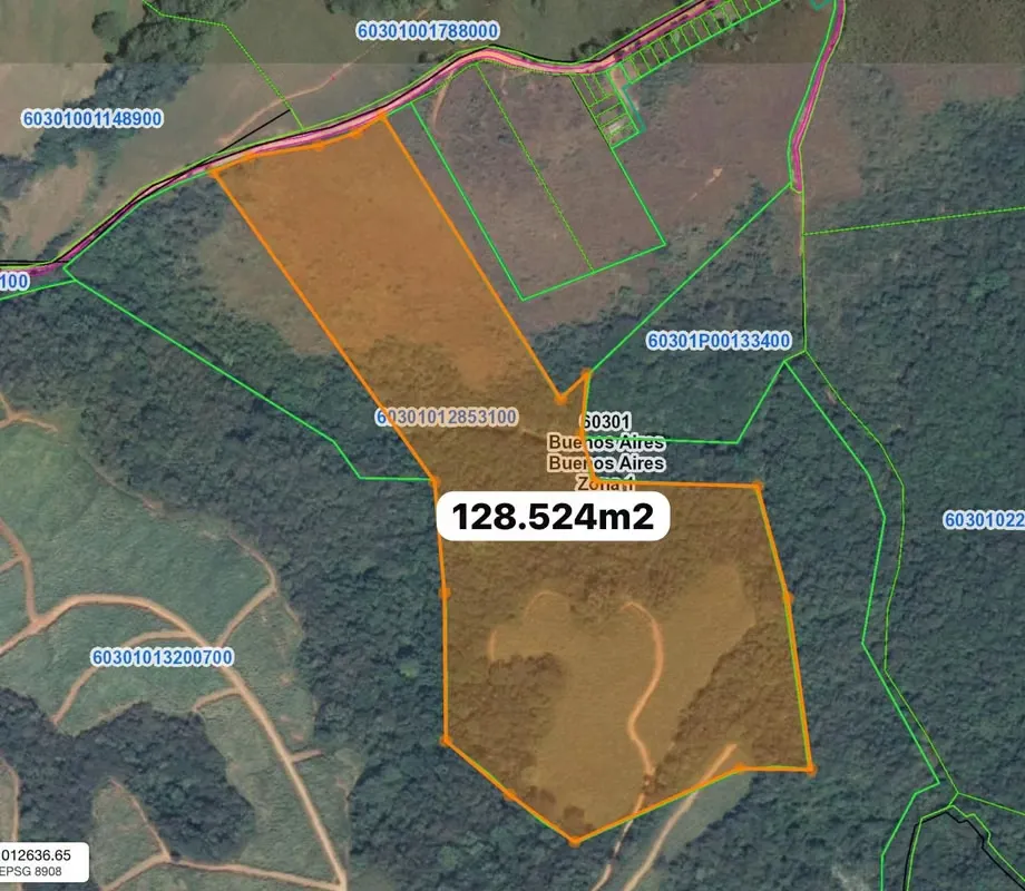 Property for sale, Buenos Aires Puntarenas