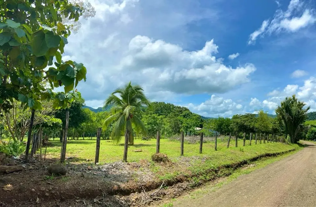 Lote en venta, Guanacaste, a 15-20 minutos de Playa Carrillo y Sámara.