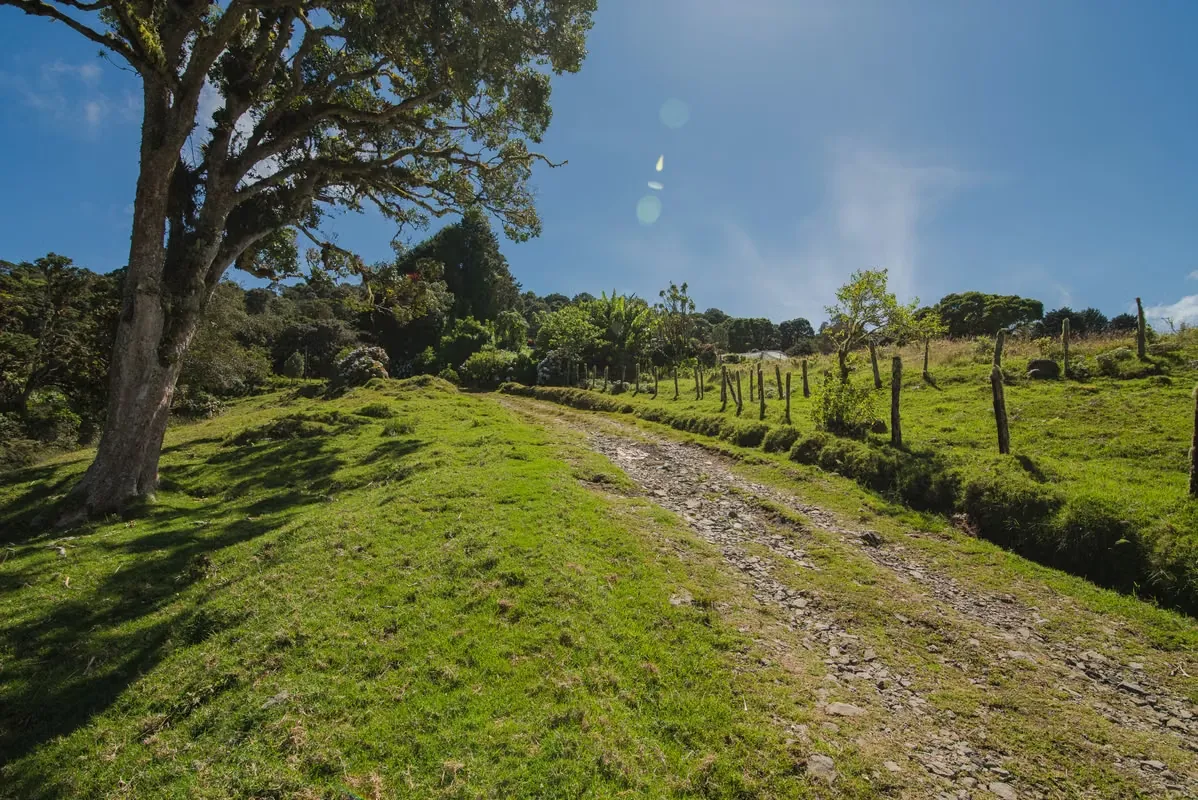 Beautiful Land for sale 12.8 acres in El Jardín de Dota Costa Rica