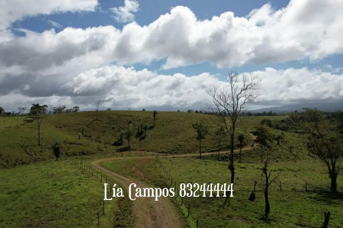 SALE OF LIVESTOCK FARM IN GUANACASTE