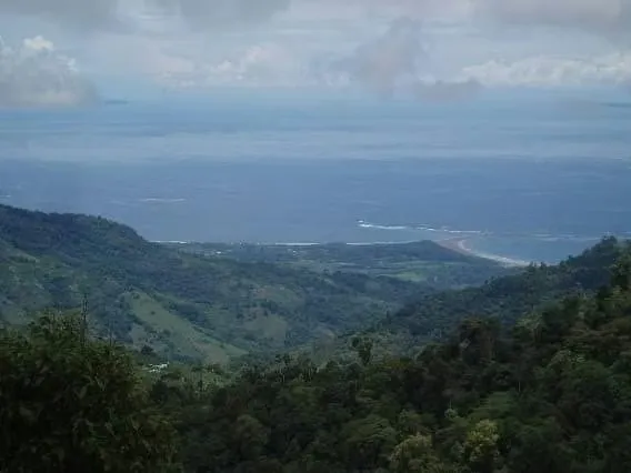 VENTA DE FINCA OJO DE AGUA PEREZ ZELEDON