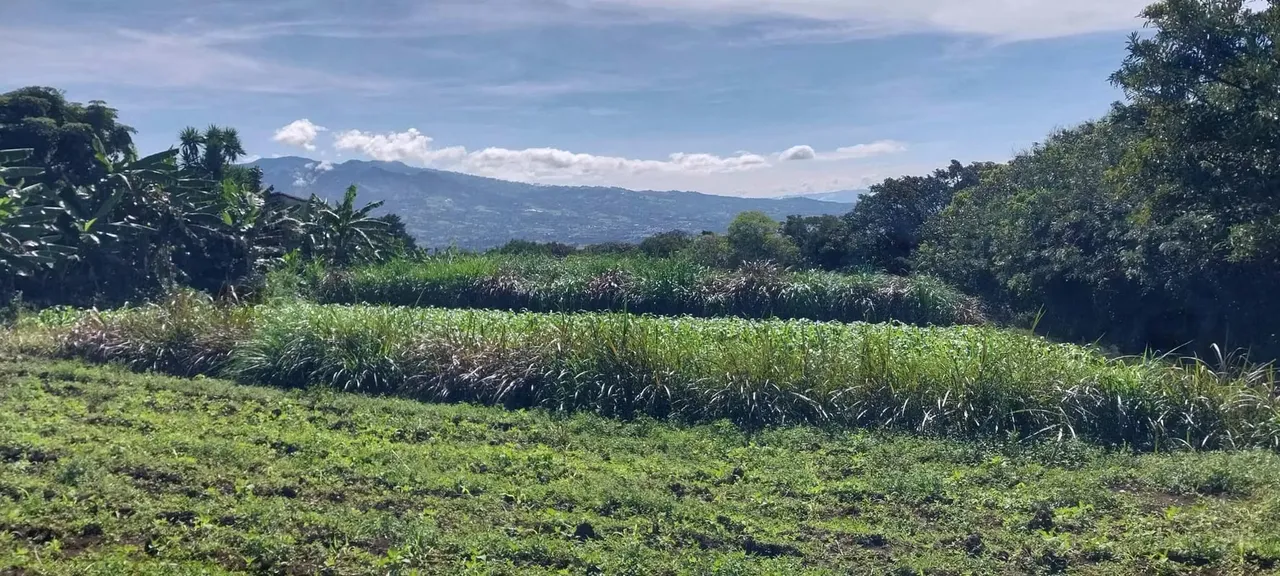 Terreno con hermosa vista, Concepcion de San Rafael, 6,883mtrs2