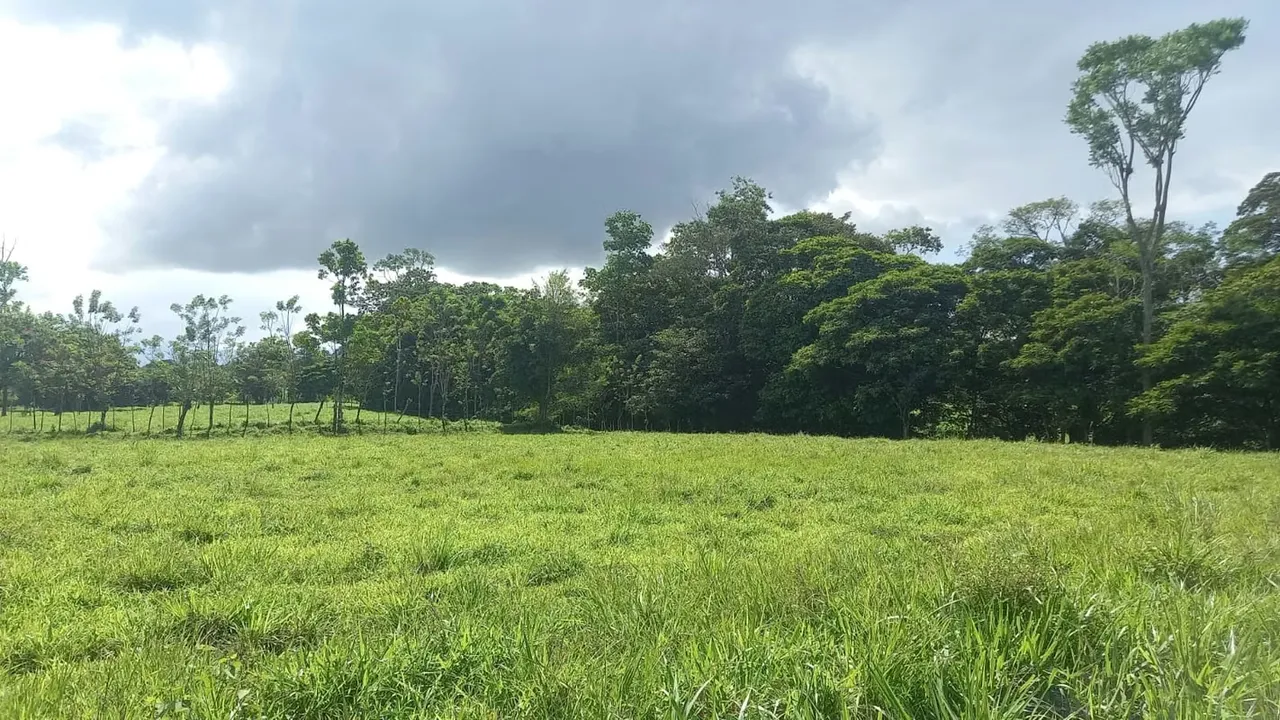 REBAJO DE 60 MILLONES!!!!!Se vende finca Santa Rita, Rio Cuarto
