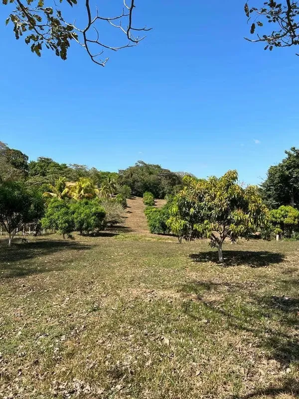 Finca Tarcoles Alto Capulin