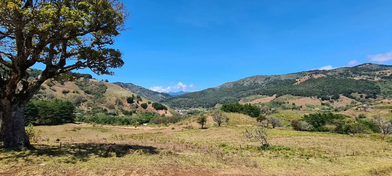Country houses for sale in Copey de Dota with excellent views