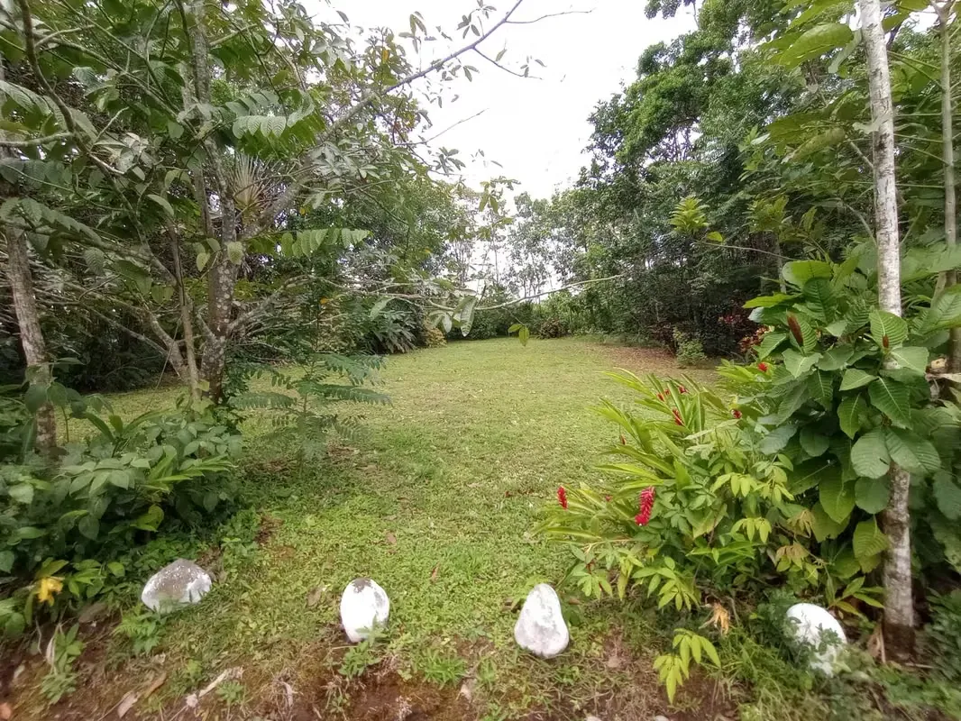 Finca en venta en San Carlos, cerca de La Fortuna, con Lago y Senderos