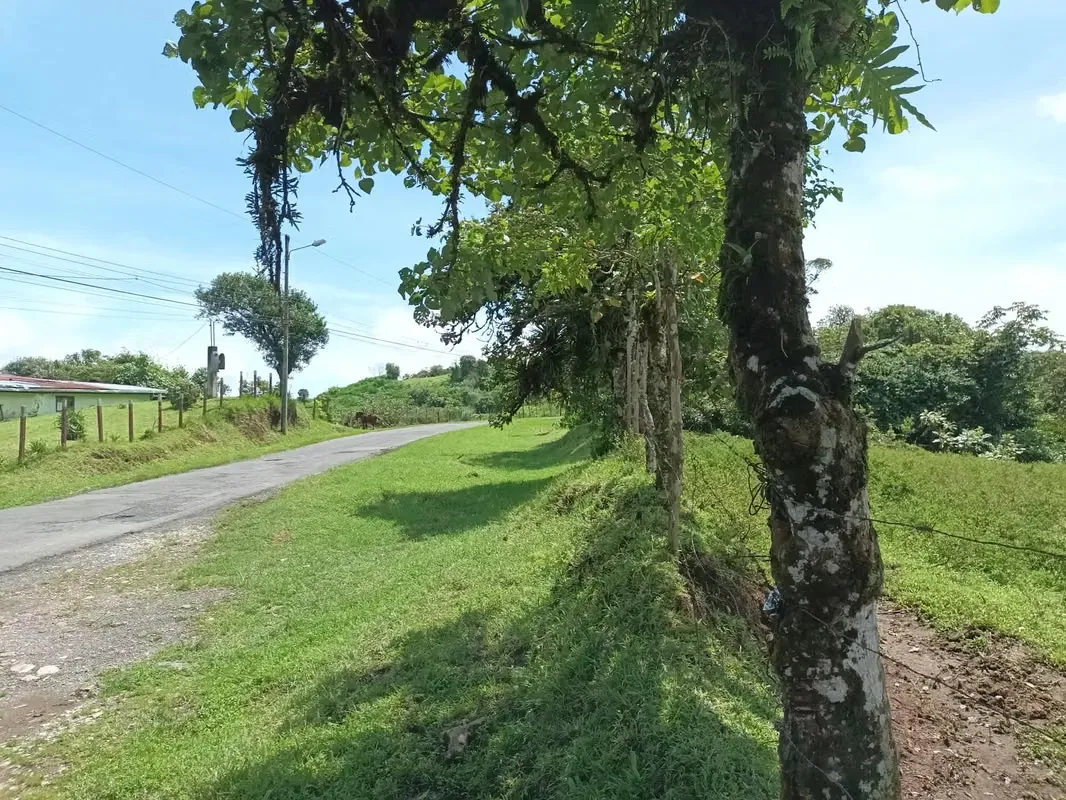 40 Ha Agrícolas en Coronado: Agua Abundante (2 Ríos) y Clima Ideal 1,800 msnm