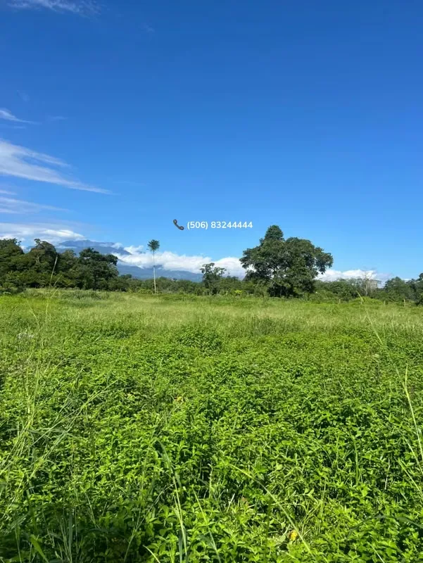 LOT FOR SALE IN POCORA DE GUACIMO, LIMON