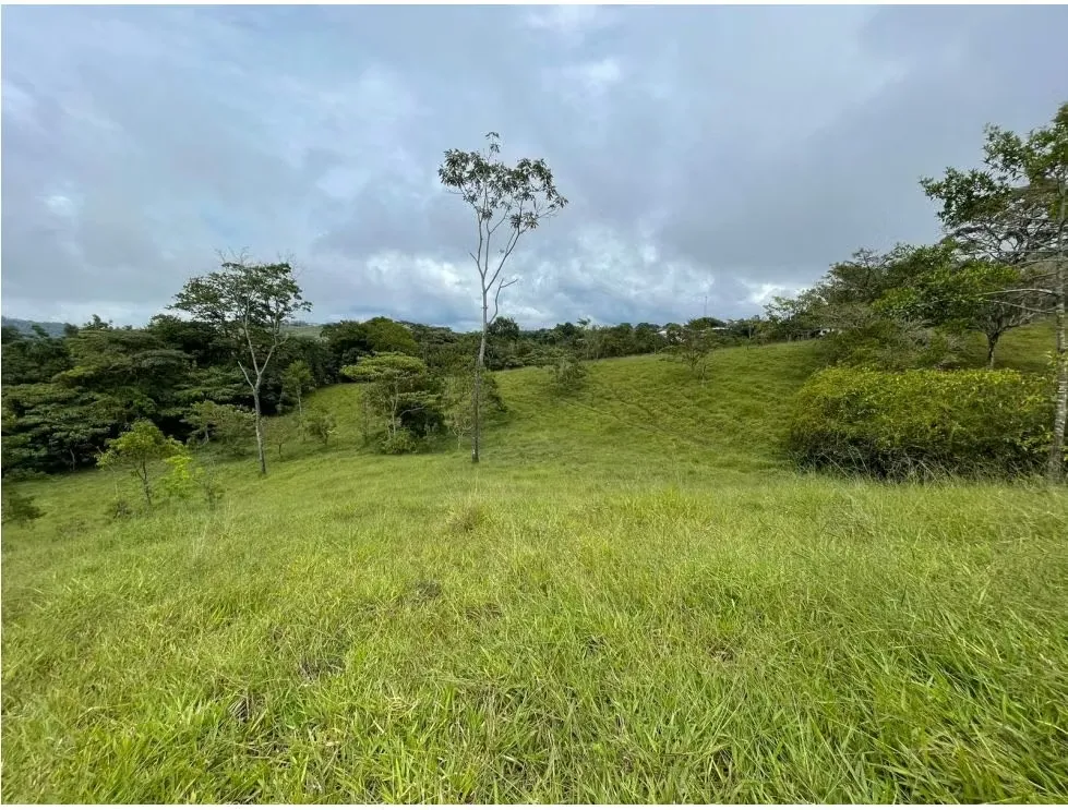 Venta Finca para desarrollar en Puriscal