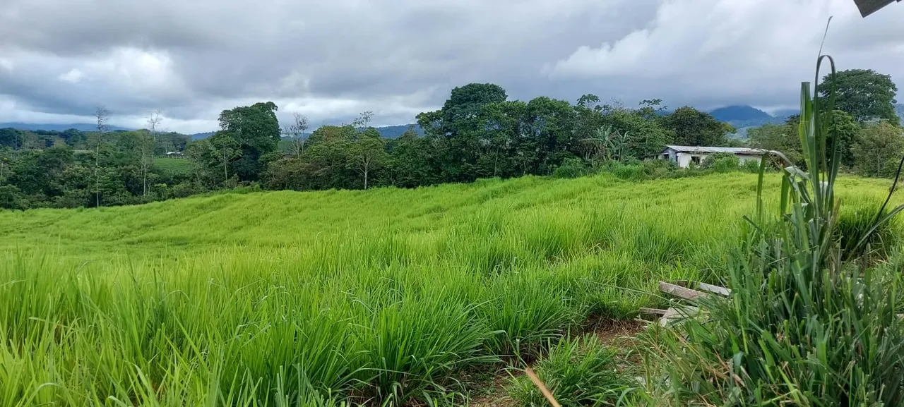 Finca en venta en San Carlos, 3.7 hectáreas con casa para restaurar