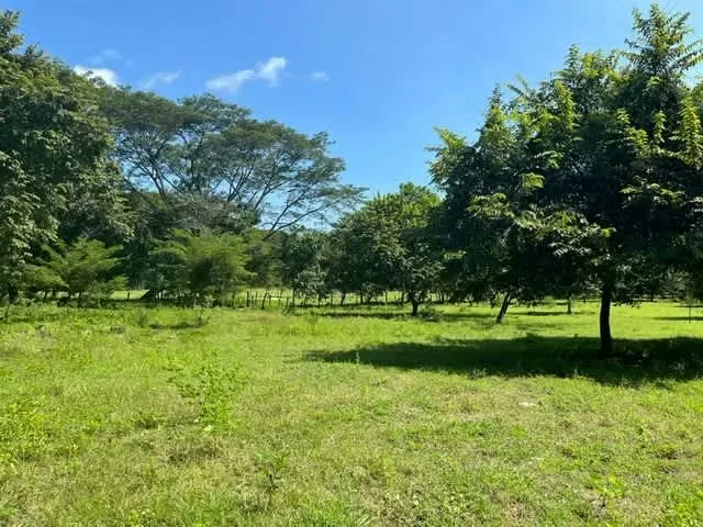 Venta  finca Guanacaste Abangares FINANCIAMIENTO DISP