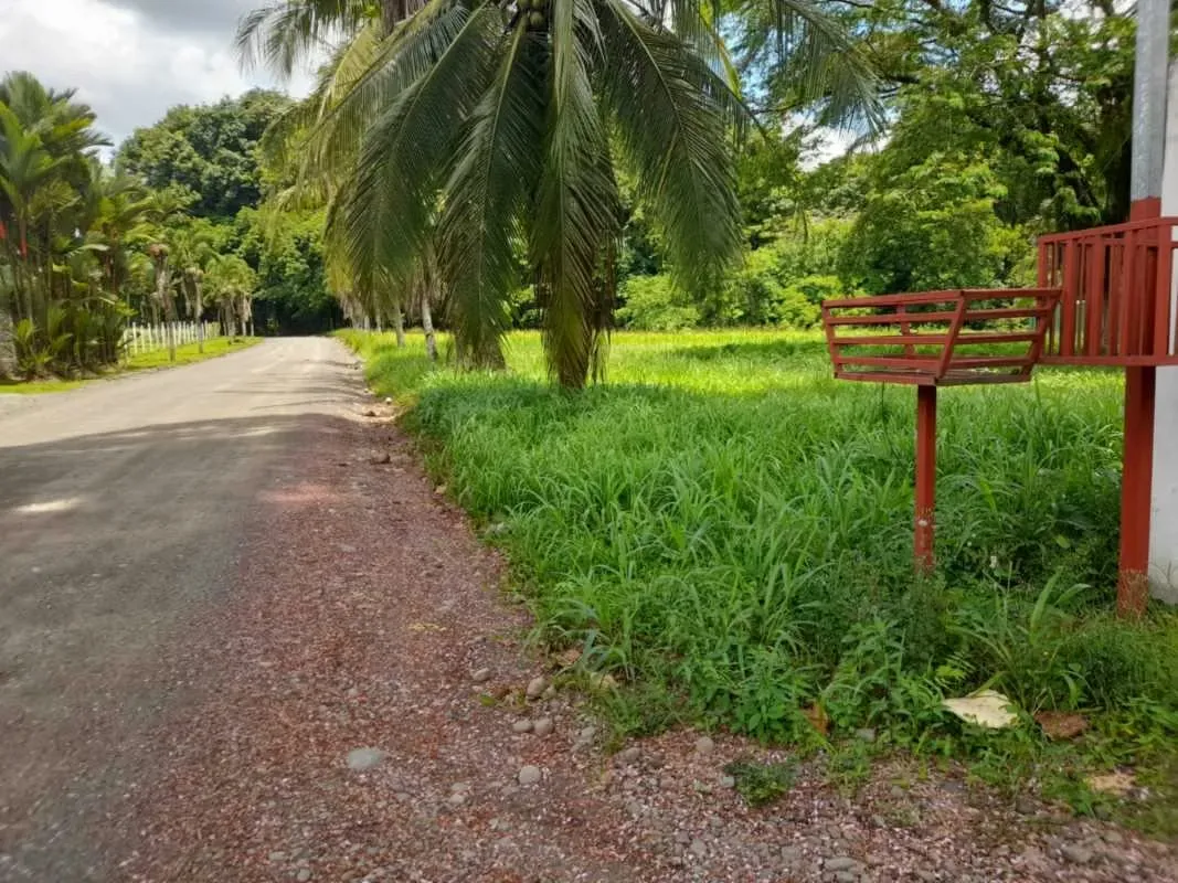 Hermoso Terreno ideal para una quinta a la  venta en  Siquirres.