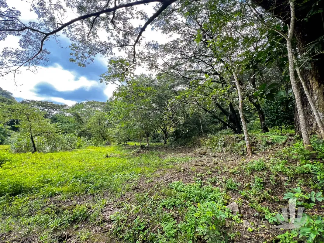 FARM FOR SALE WITH THERMAL WATERS IN ABANGARES