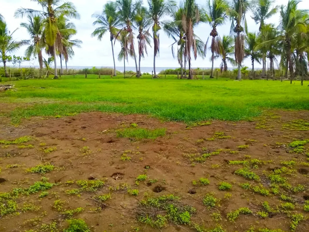 Se vende Concesión de terreno en Playa Coyote, Guanacaste (MA).