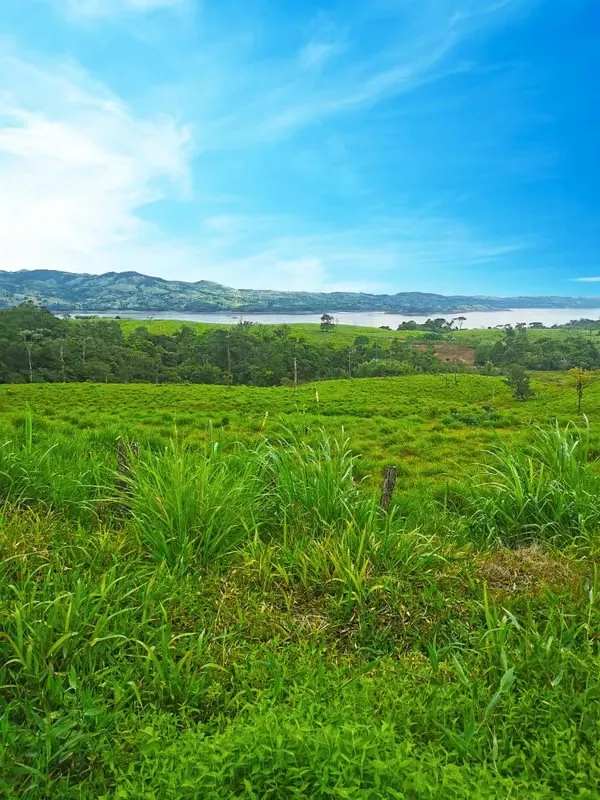 Se vende lote de una hectárea en Arenal, Tilarán, Guanacaste (MA).