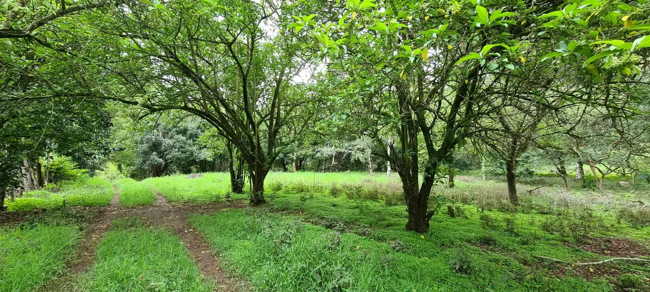 Sale 2 ha + 4,512 m2 flat land with river at the back Santa María de Dota center