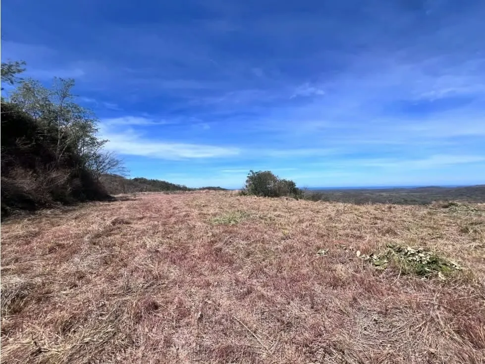 Lote en Venta, Tamarindo, Vista al Mar, Cañafístula 5PDN8966682