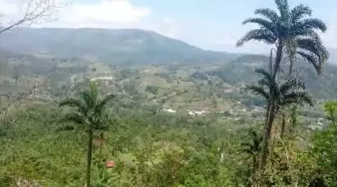 Ganga! Lote de 16300 m² en Tucurrique de Cartago - 25 millones CRC
