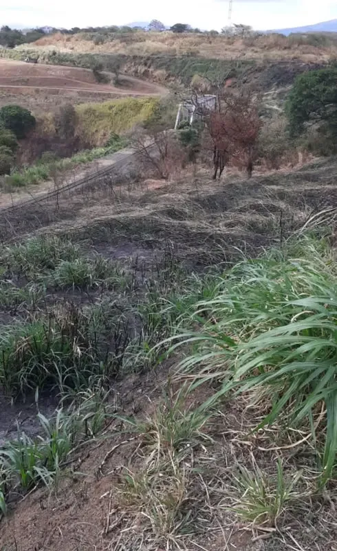 LOT FOR SALE, SAN JOSE, TIBAS