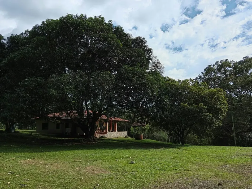 REDUCED! San Mateo Farm for sale