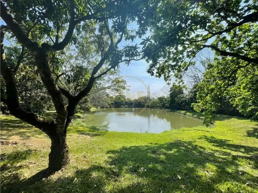 Coffee Estate for Sale – Atenas, Costa Rica