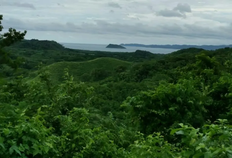 FARM FOR SALE – PUERTO SOLEY, LA CRUZ DE GUANACASTE