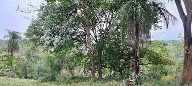 Lot for sale Orotina Baron 16.300 sq mts 4 acres