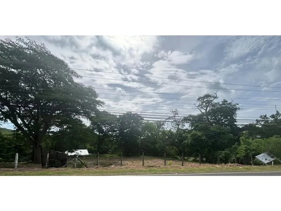 Lote en Venta, Playa Hermosa, Guanacaste, sobre Carretera 5PDN9285576