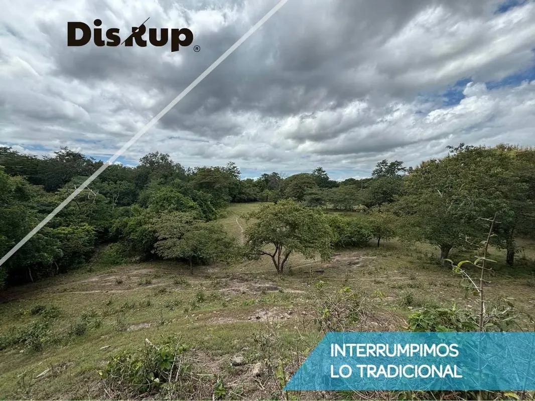 Land for sale: 9,015 m2 - Liberia, Nacascolo