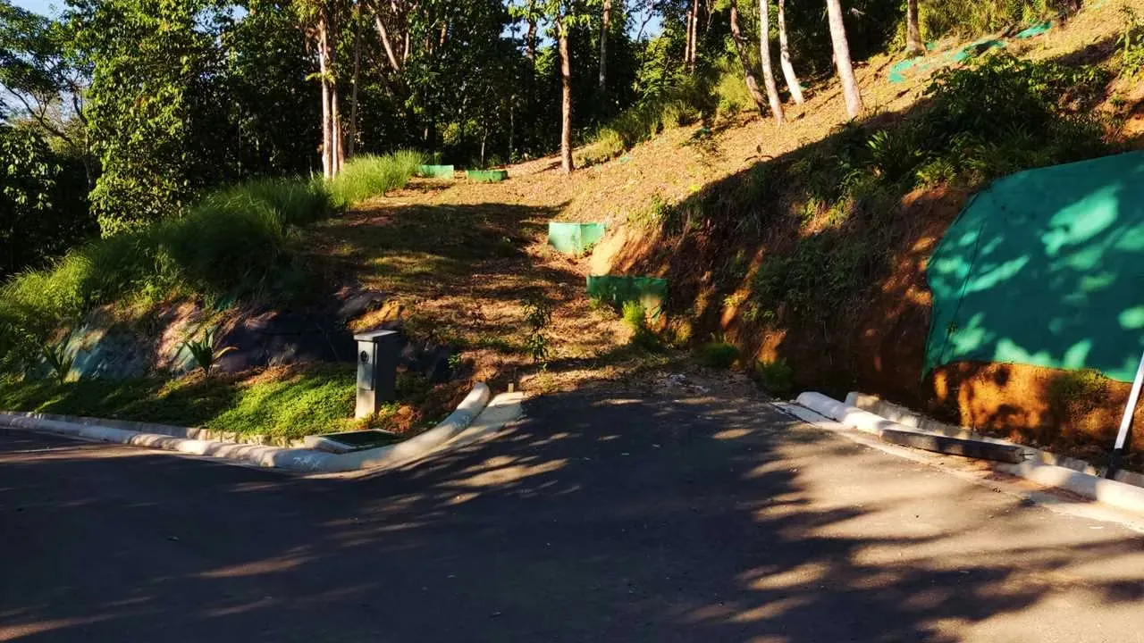 PRIME LOTS FOR SALE IN PUNTA UVITA ( BAHIA BALLENA)