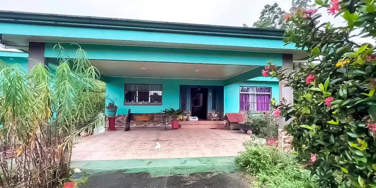 House and Apartment for Sale off Route 32, Guápiles