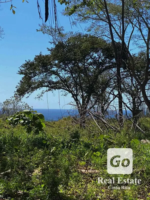 Oportunidad Venta de Lote en Ostional, Guanacaste