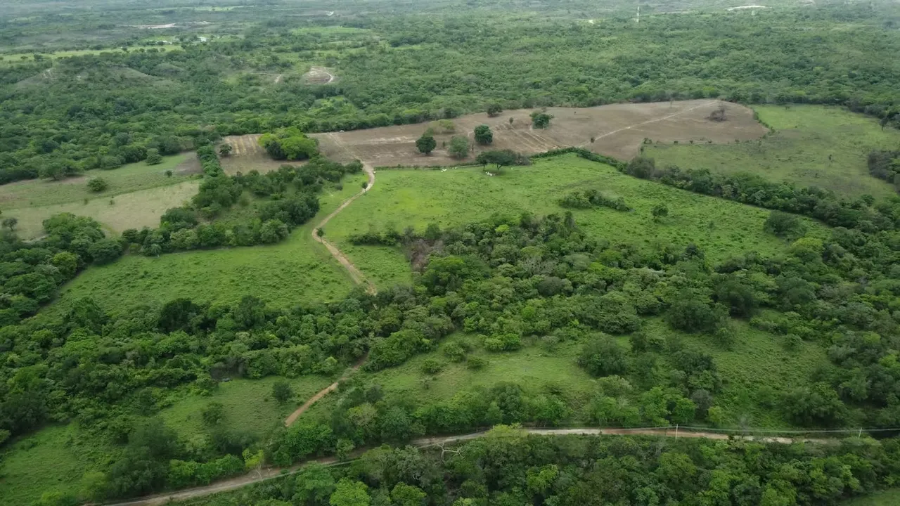 50 hectáreas con uso de suelo agrícola.