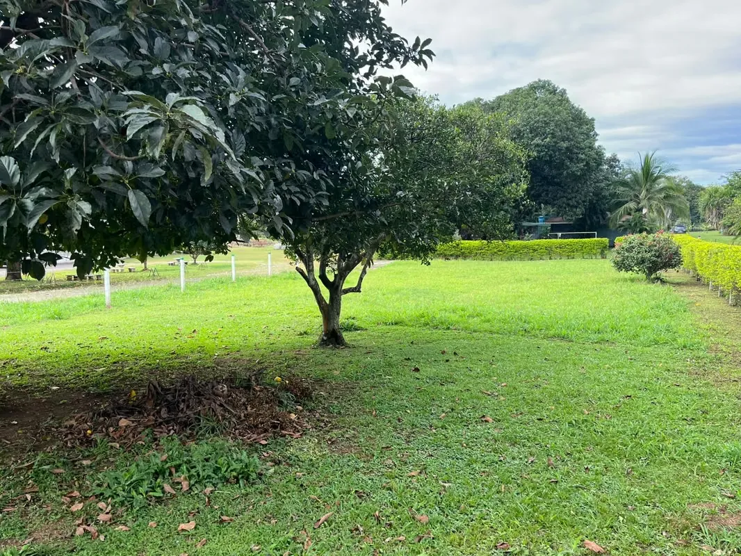 Se Vende Lote en Orotina – Calle El Tigre