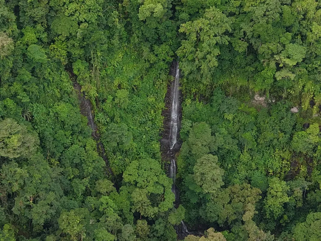 Santuario Natural en Puriscal – Ríos, Bosques y Cataratas