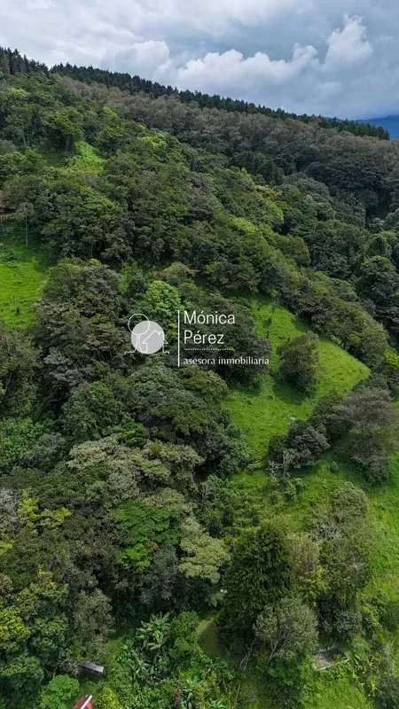 FINCA EN VENTA SARCHÍ -ALAJUELA-ALTO PALOMO