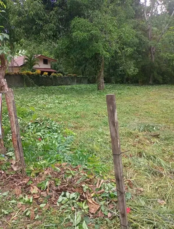Lote Accesible en Jacó, Costa Rica – ¡Inversión Perfecta!