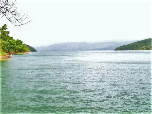 4.9 Hect. FRENTE AL LAGO ARENAL, INMEJORABLE, REBAJADA!