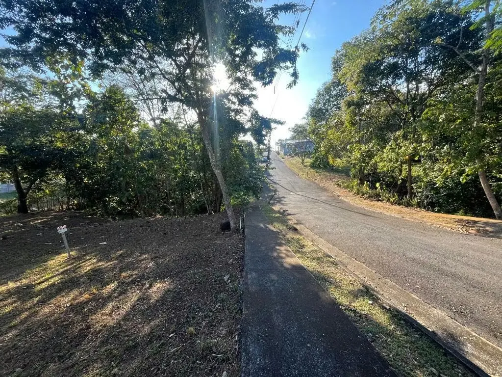 Terreno en venta en Condominio Orotina