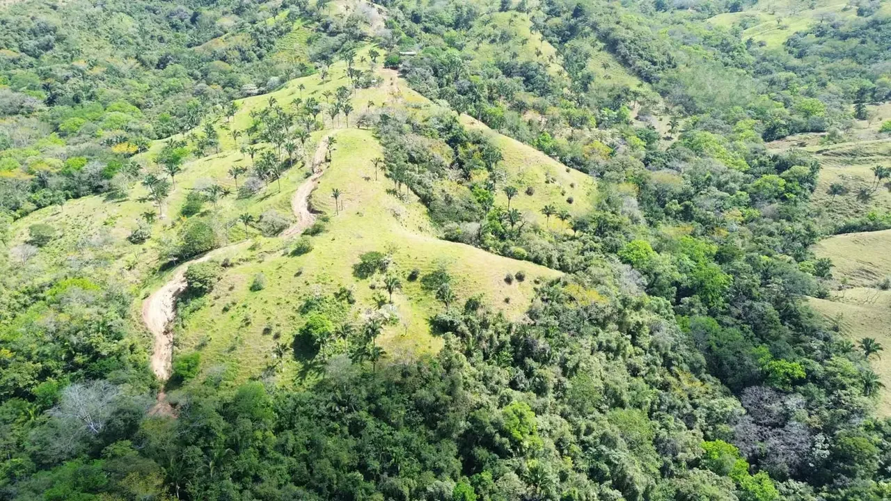 199-Hectare Farm for Sale – Las Flores de Nosara, Guanacaste