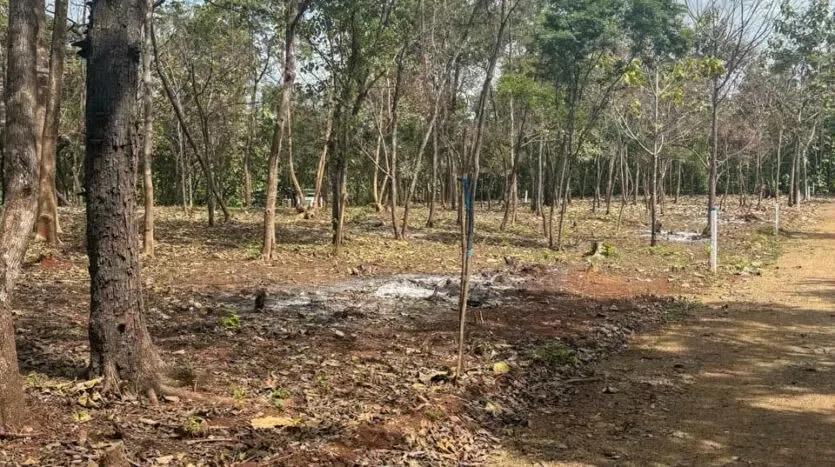 Lots for Sale in a Private Community Near Playa Avellanas