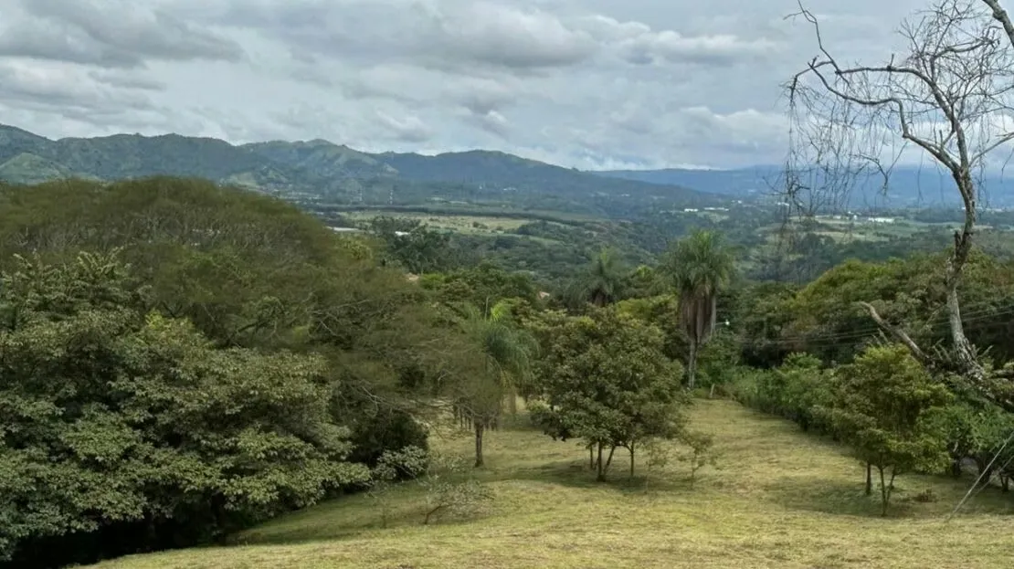 Uno de los últimos lotes en uno de los barrios más exclusivos de Atenas.