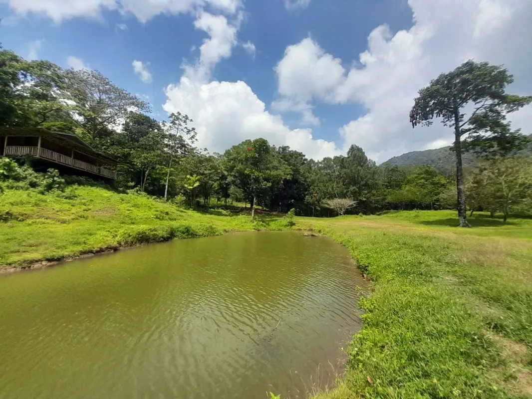 Venta de finca en San Carlos, con Fuentes Termales, Lago y Manantiales