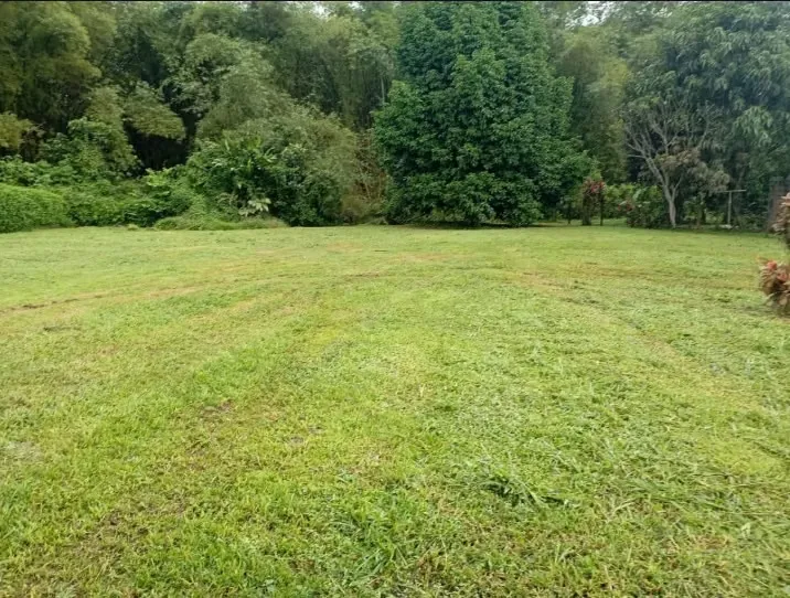 Lote plano en venta en Horquetas Sarapiquí 2.800 m² en Quintas Beula