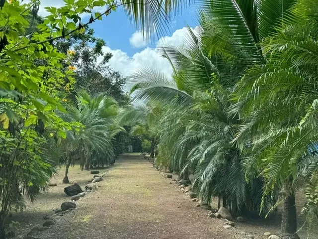 Venta de Finca Sarapiqui -Espectacular para Turismo