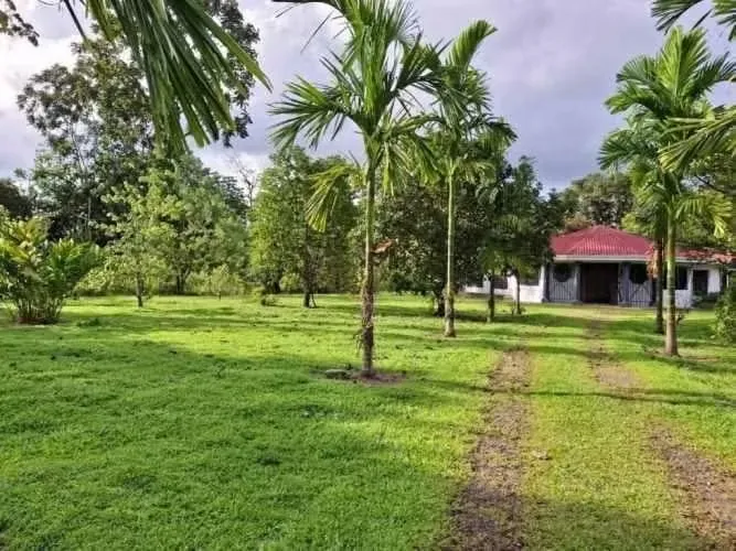 Casa en Guápiles, Costa Rica!