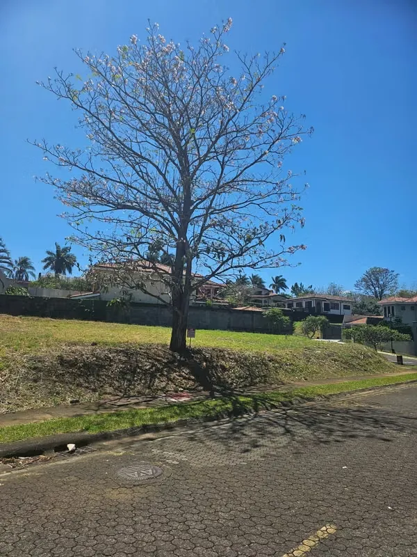 Venta de lotes en exclusivo residencial de Belen Heredia