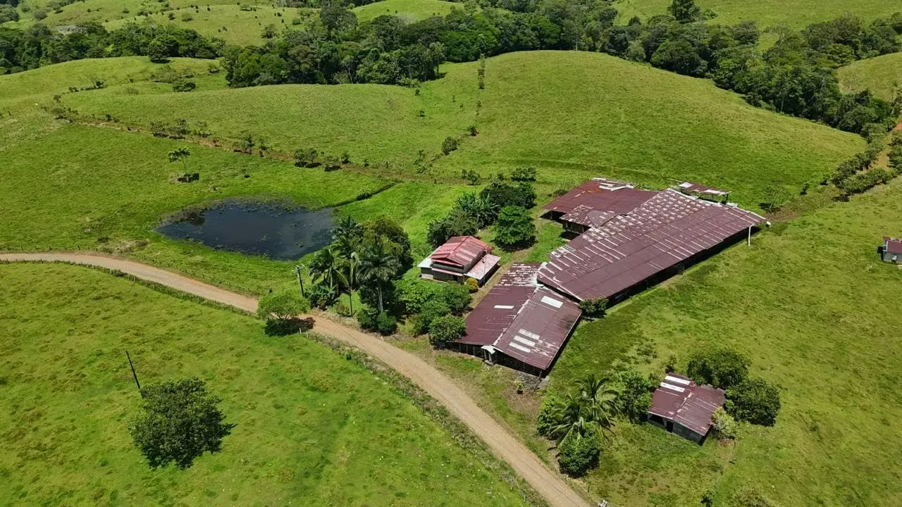 FARM FOR SALE IN COSTA RICA – SAN CARLOS, AGUAS ZARCAS