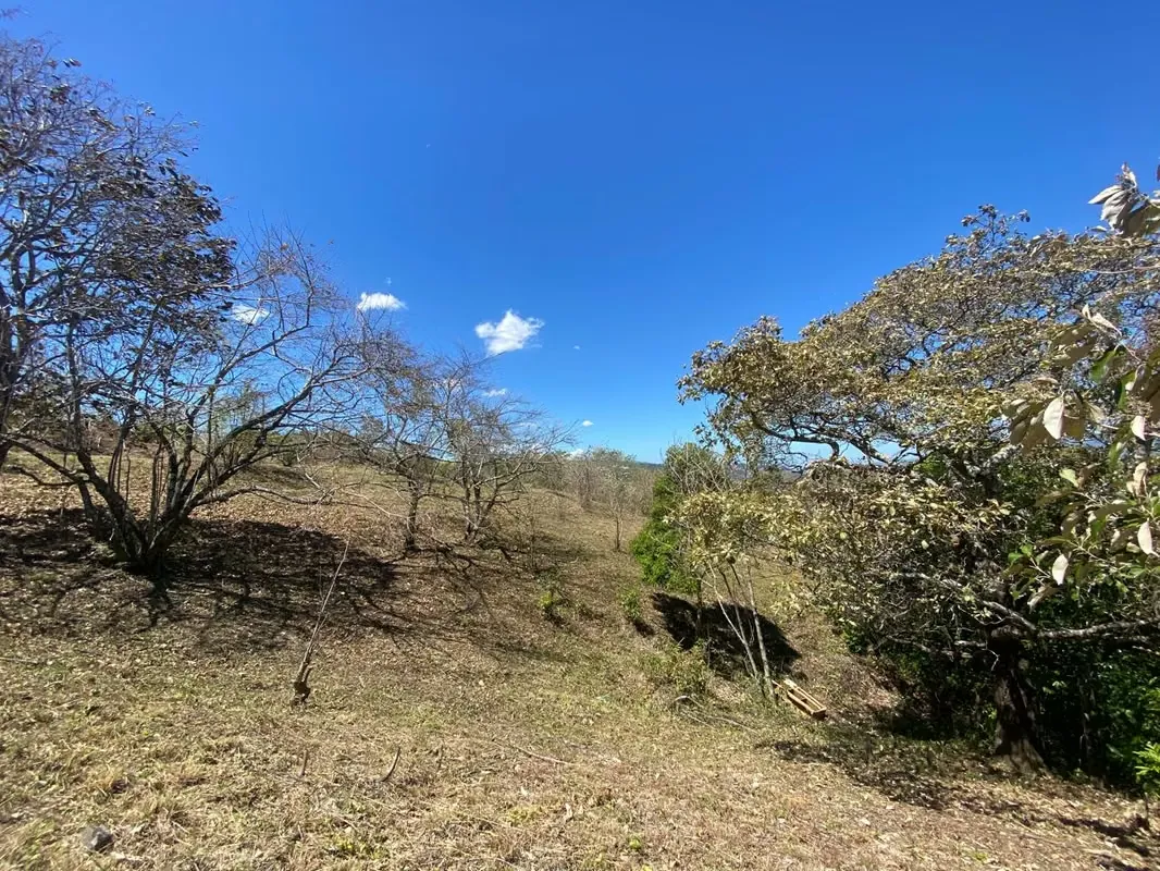 RESIDENTIAL LOT FOR SALE IN BRASIL DE MORA
